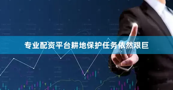 专业配资平台耕地保护任务依然艰巨