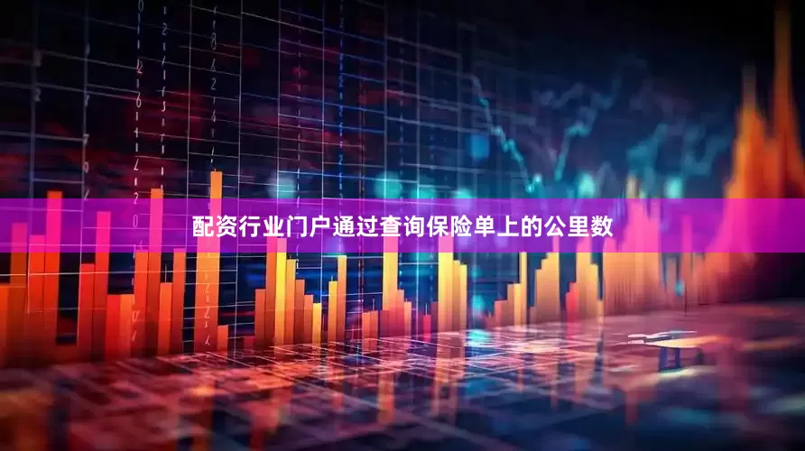 配资行业门户通过查询保险单上的公里数